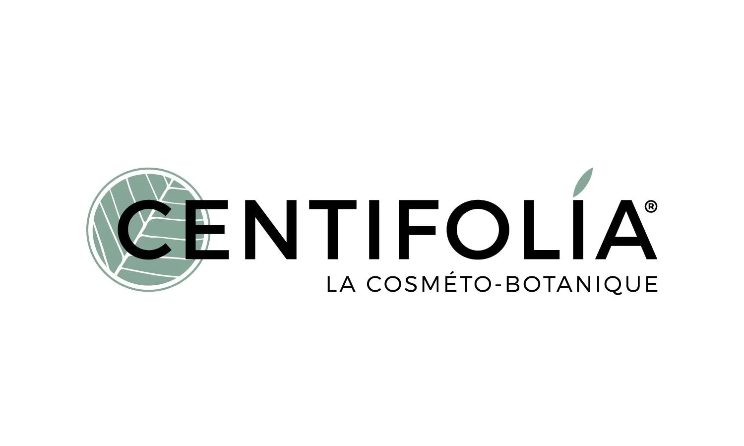 Centifolia