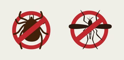 Prévention Tiques et moustiques