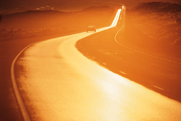 Alberta Forest Products - Radio