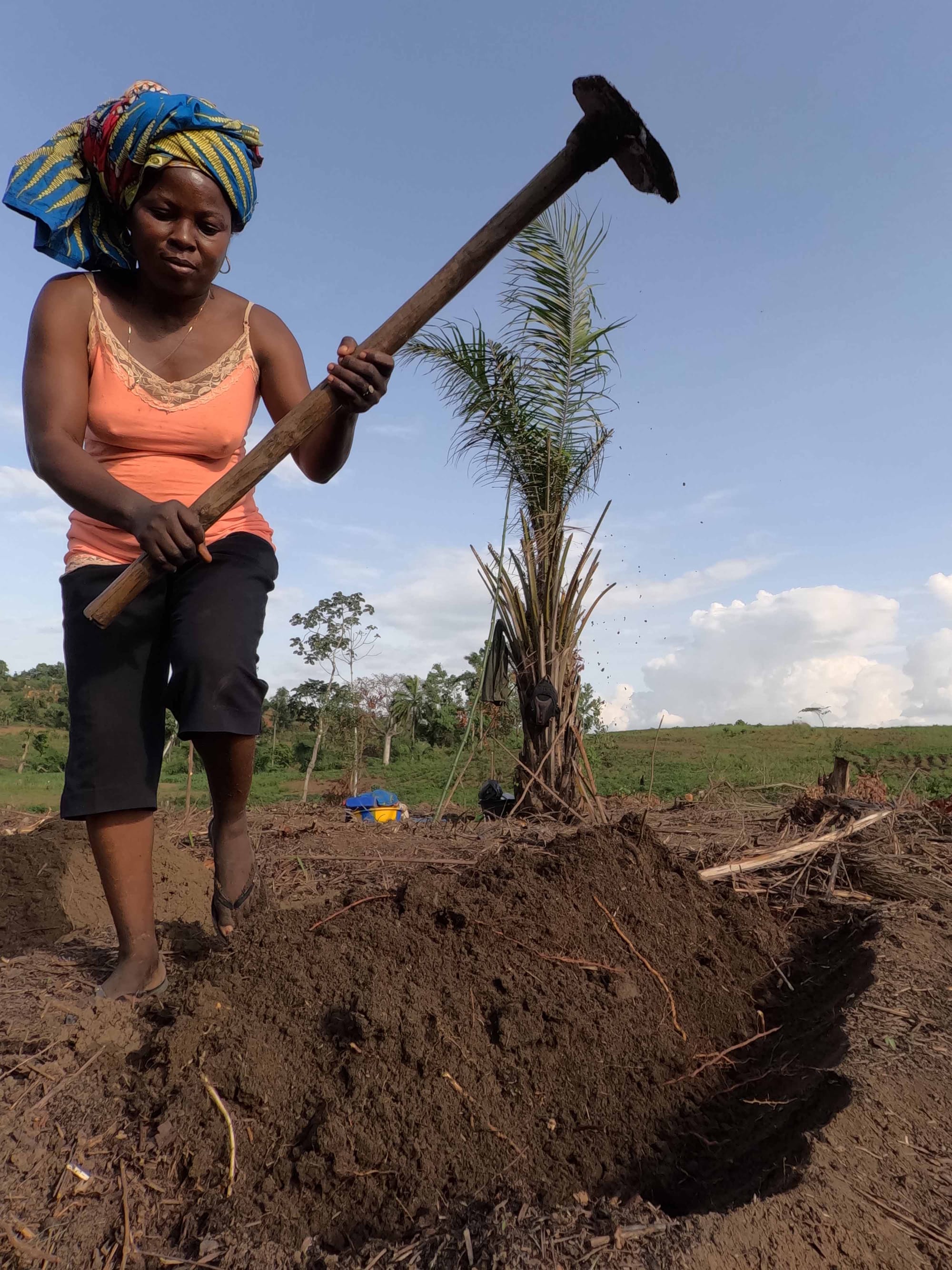 04-05 sep 2022: Projet SI KONGO Réalisation d'un  champ test au Jardin Botanique