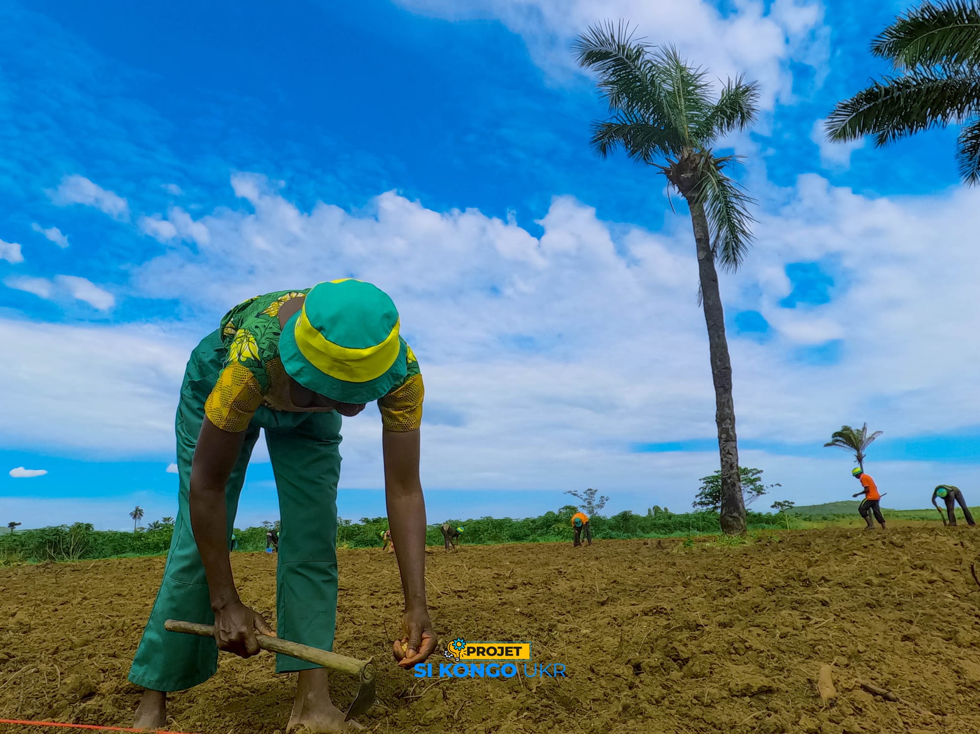 15 au 17 nov 2022 Projet SI KONGO : Réalisation du Champ test à Jaune Congo