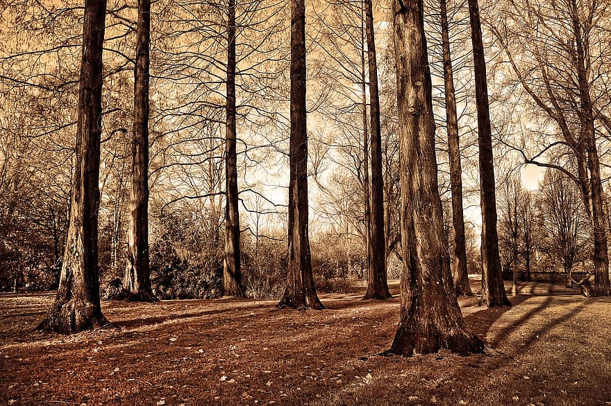 十一月份：沉默