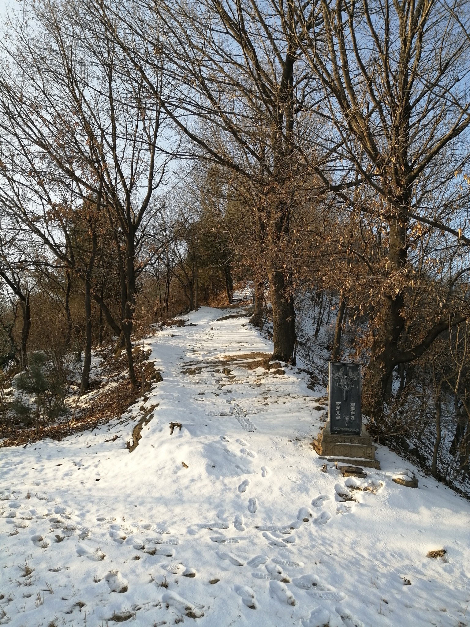 十二月份：望德