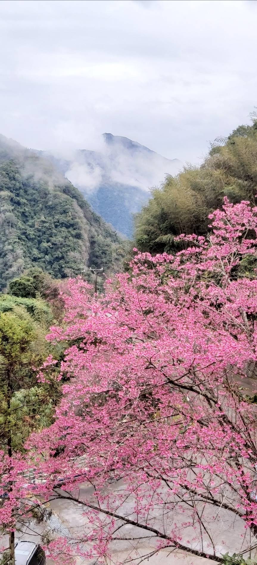 五月份：學會去愛