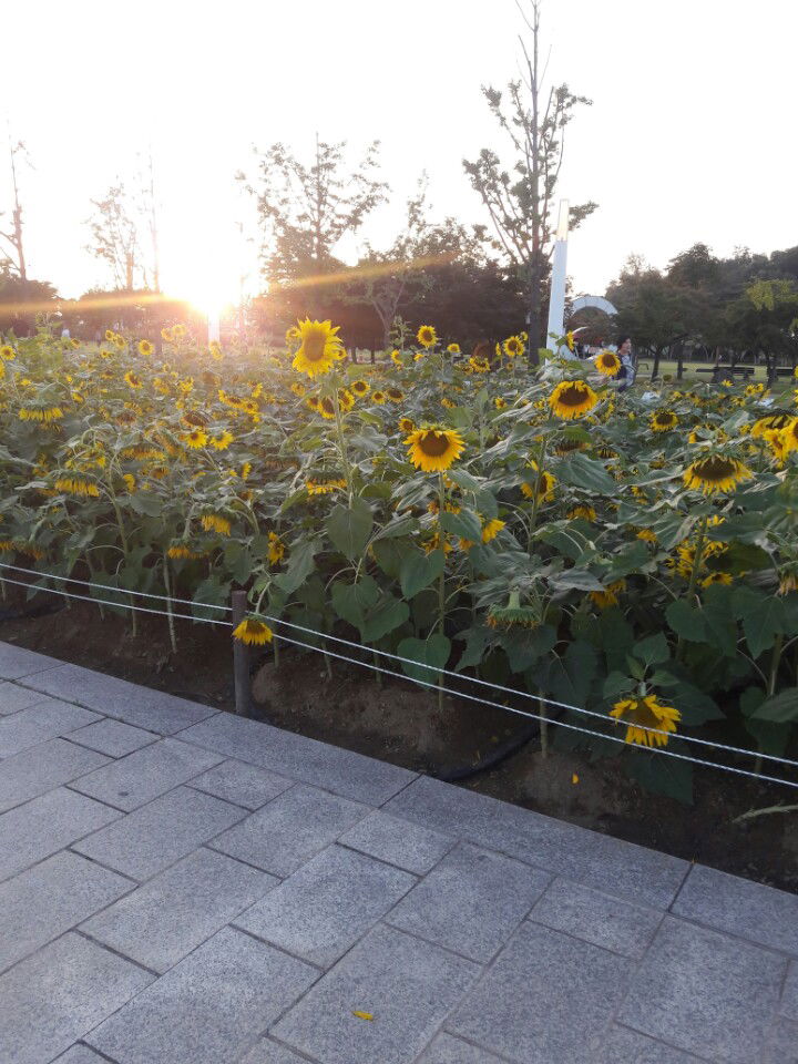 Meditations on Psalm 5:12