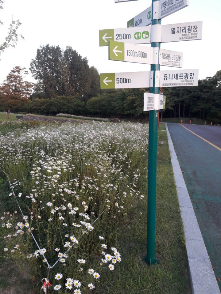 Meditations on Psalm 29:2