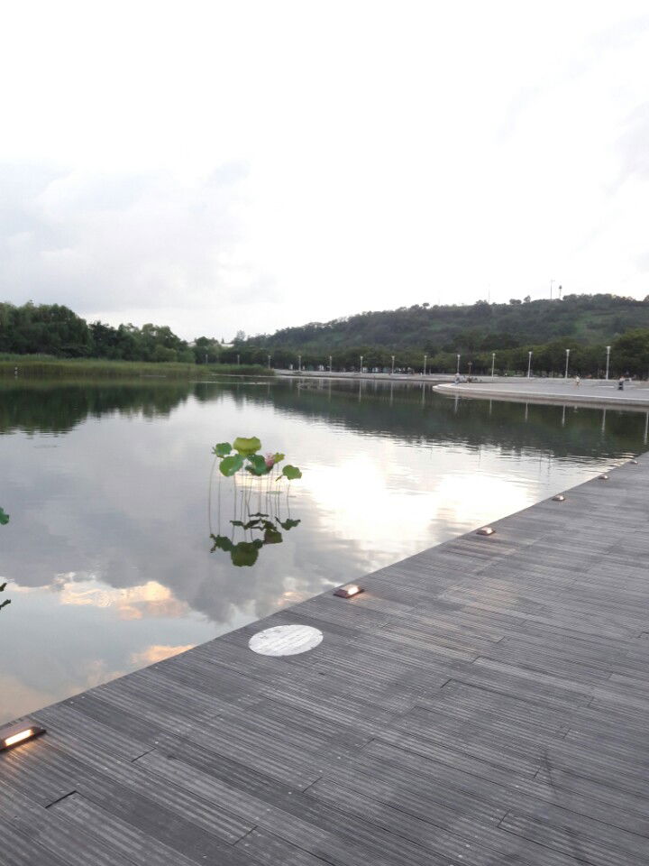 Meditations on Psalm 85:12