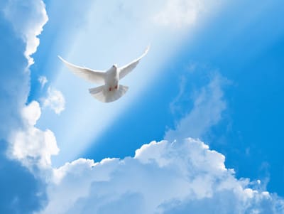 HOLY SPIRIT
