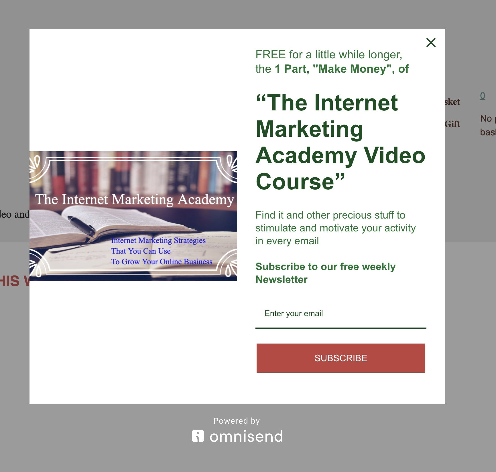 Lead Generation Pop up 