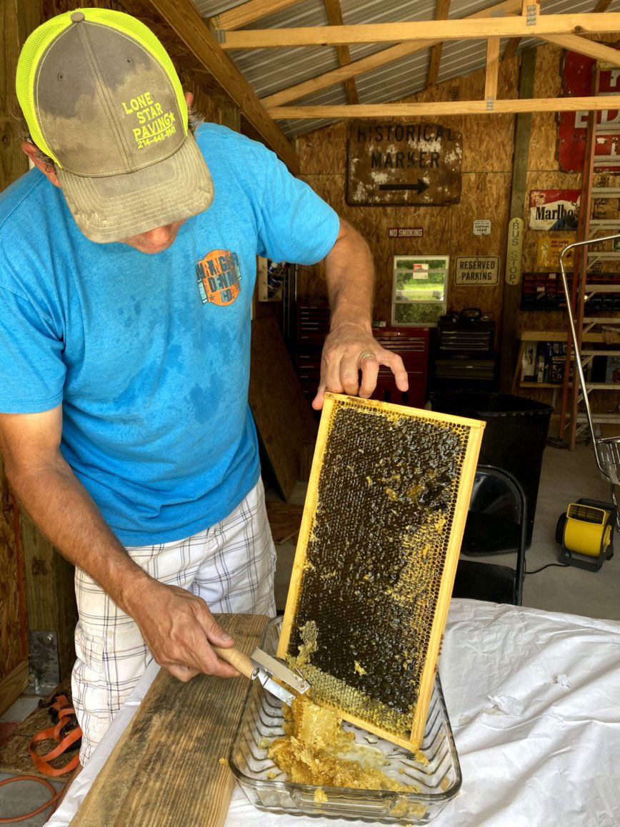 2022 Extracting Honey!