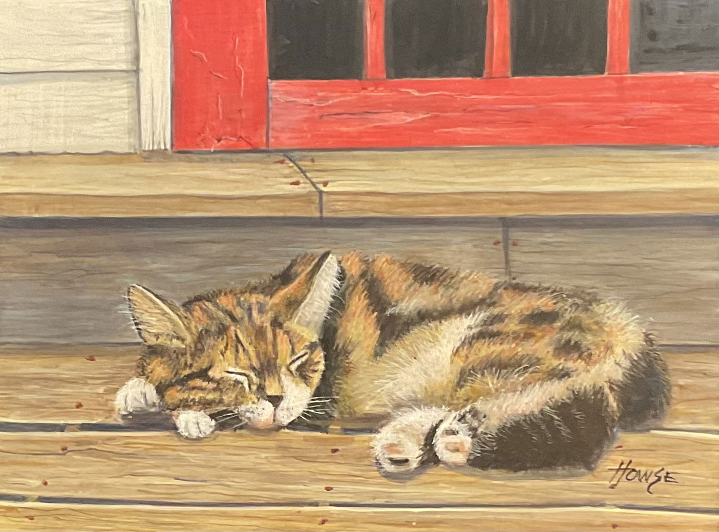 “Cat Napping by red door “