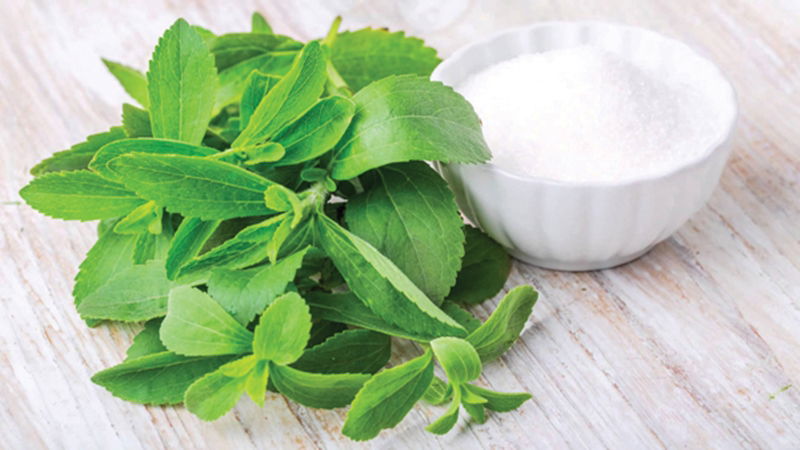 Stevia Leaf to Stevia Sweetener: Exploring Its Science, Benefits, and Future Potential