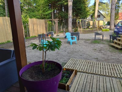 VUE DE LA COUR image