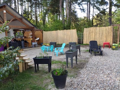 VUE DE LA COUR image