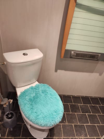 WC DE LA DEPENDANCE image