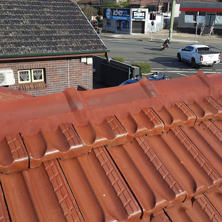 ROOF REPAIR AND REPOINT