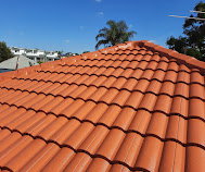 ROOF PAINTING