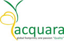 Acquara Management Consultant