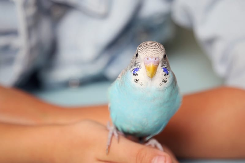 רגעים כיפיים ויפים של ילדות ואינטראקציה משפחתית!