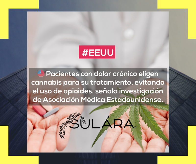 Dolor Crónico y CBD