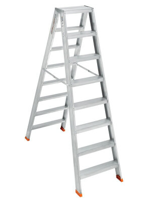 Light/Medium duty ladder