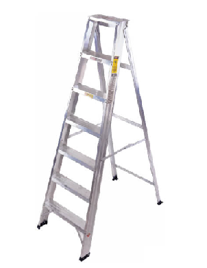 Light/Medium duty ladder