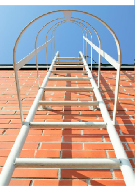 Industry Ladder