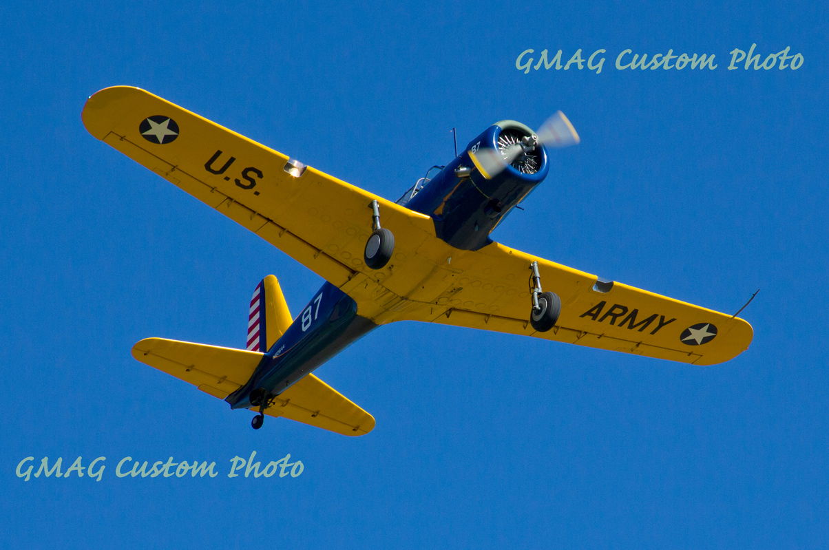 People, Animals, and Things