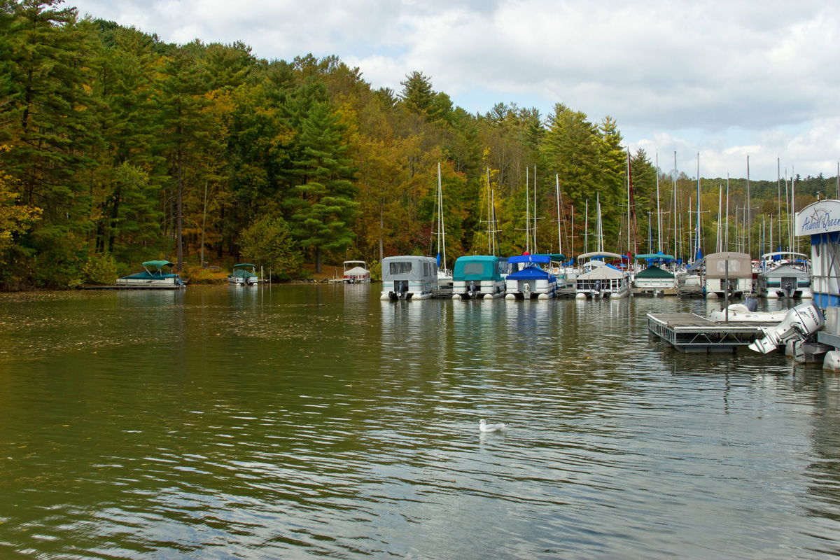 <<<<<<<<<<<<>>>>>>>>>>>>