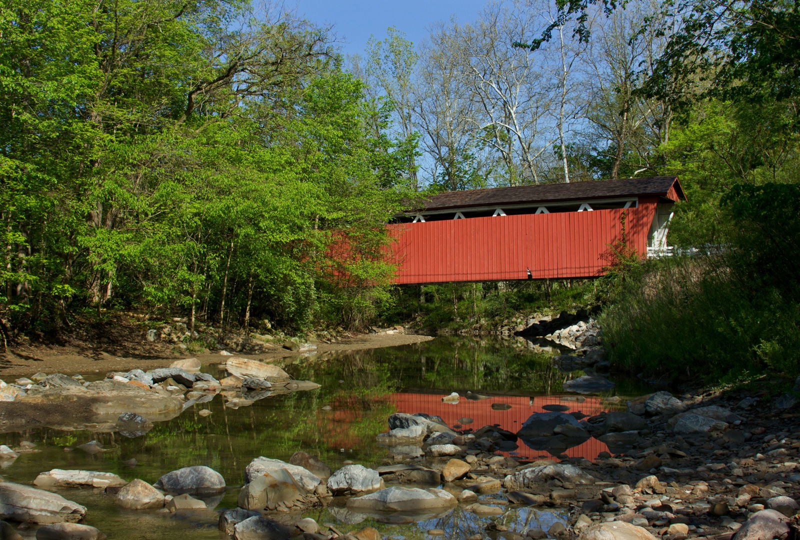 People, Animals, and Things