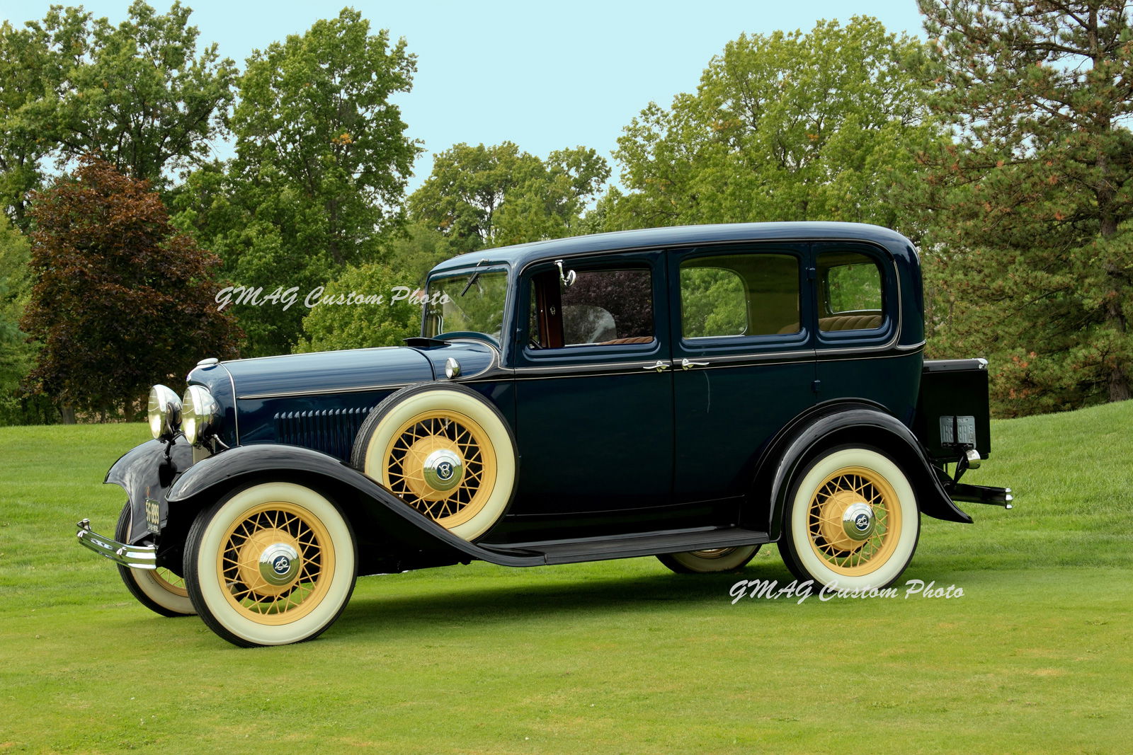 People, Animals, and Things