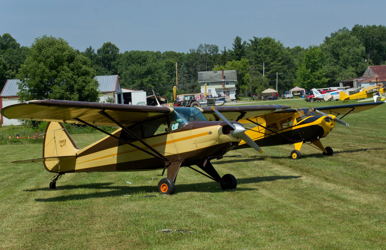 People, Animals, and Things