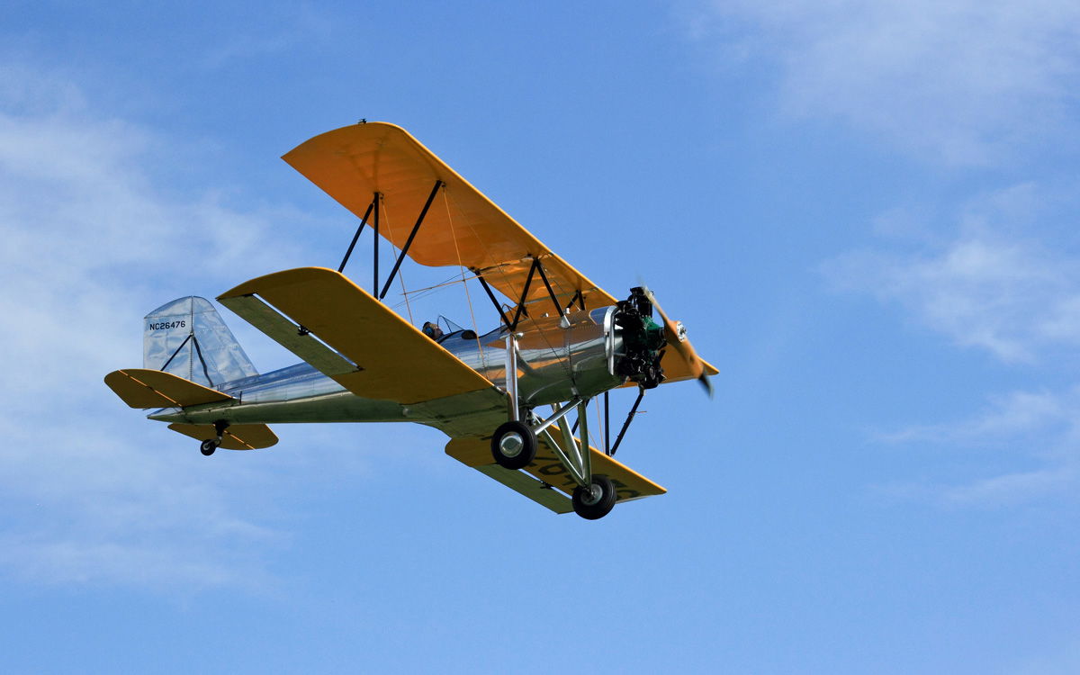 People, Animals, and Things