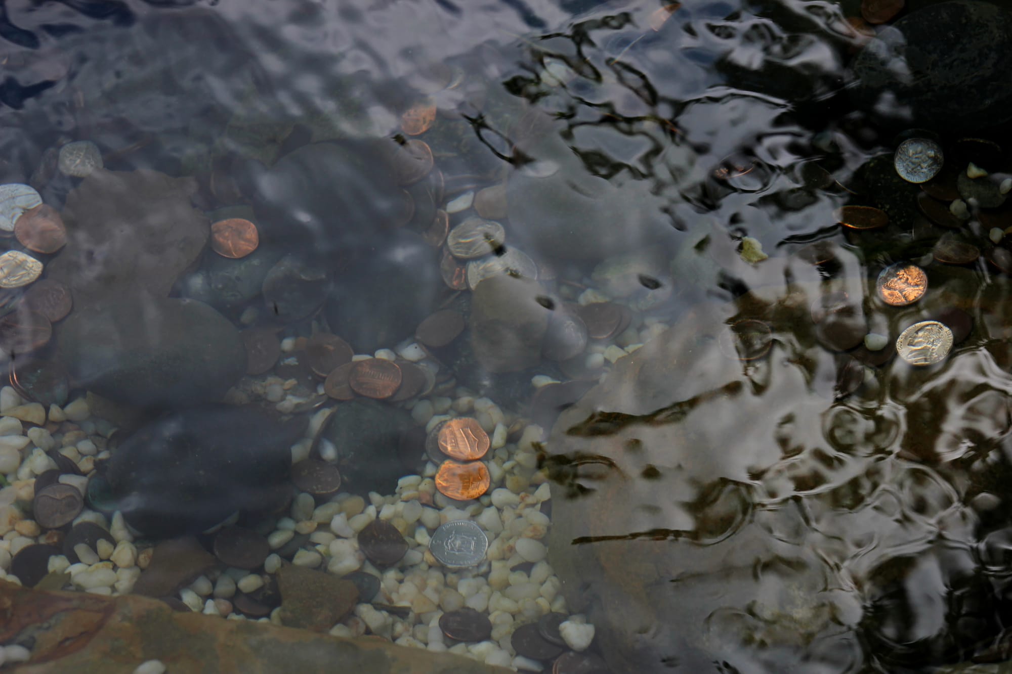 <<<<<<<<<<<<>>>>>>>>>>>>