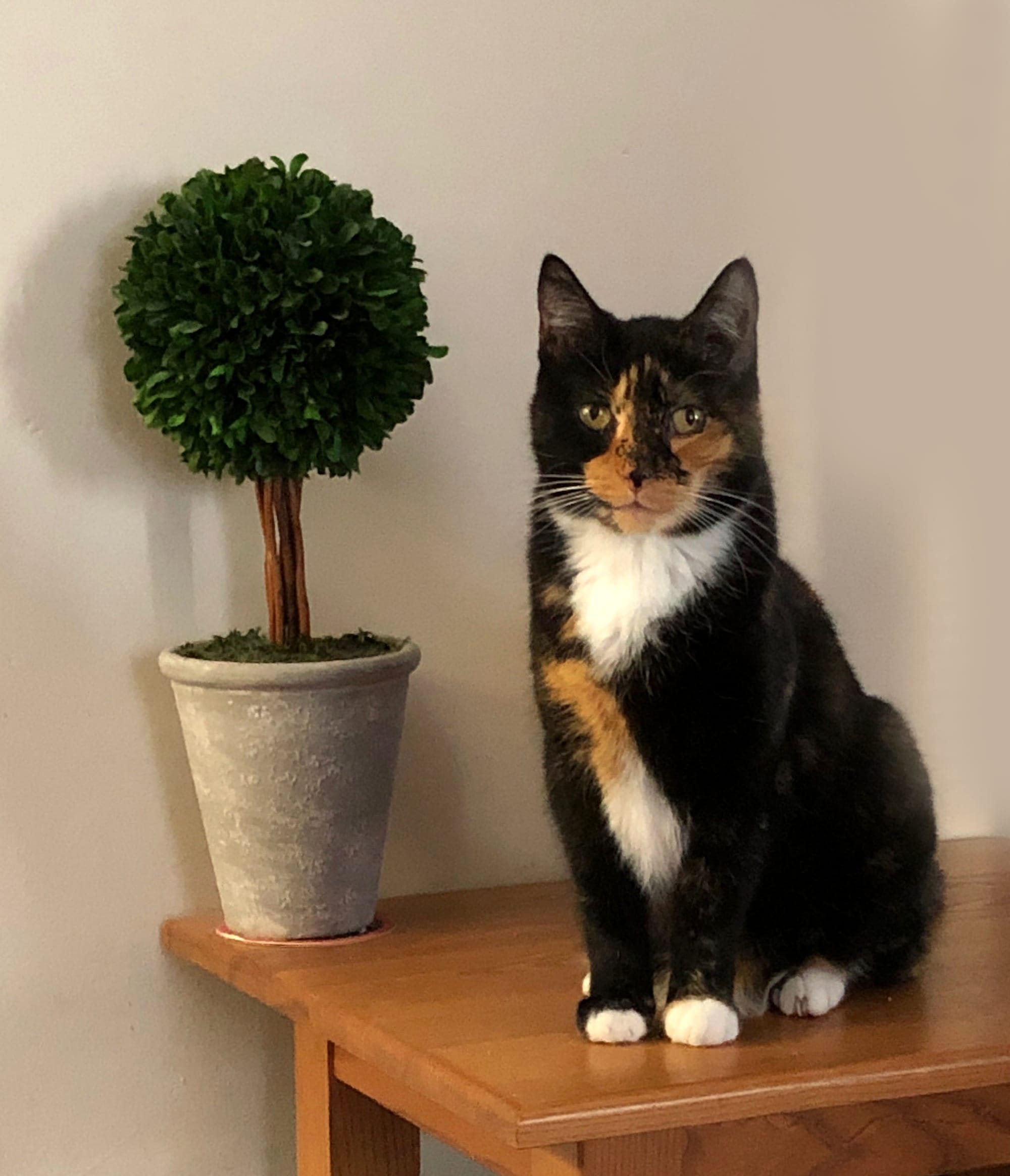 <<<<<<<<<<<<>>>>>>>>>>>>