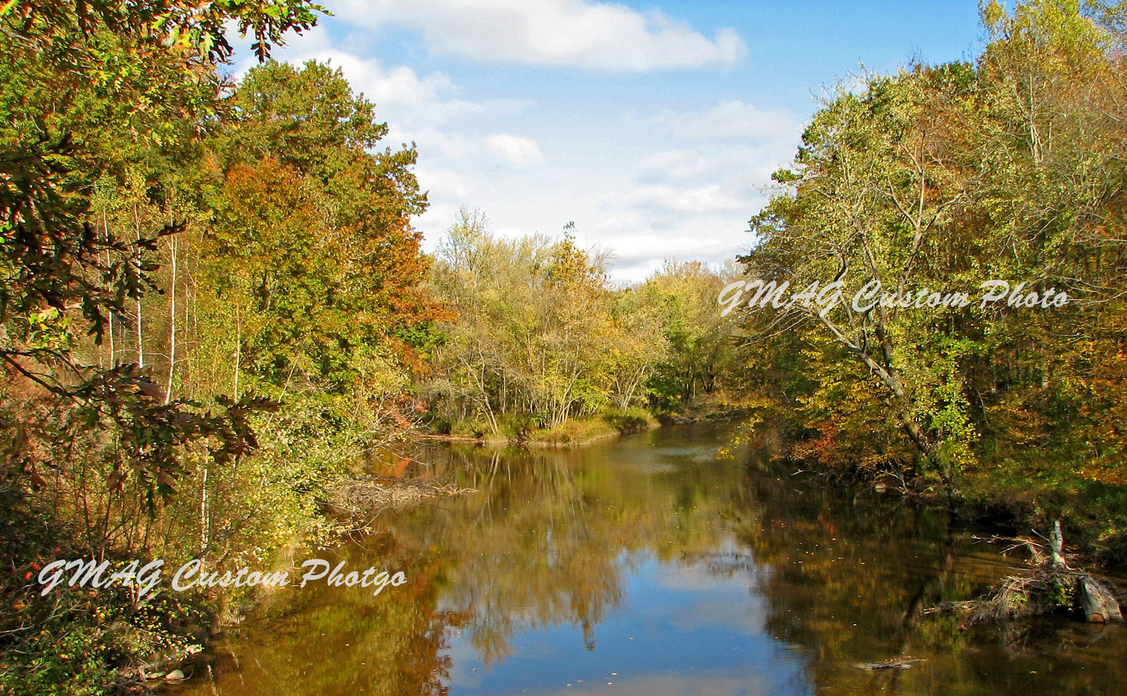 People, Animals, and Things