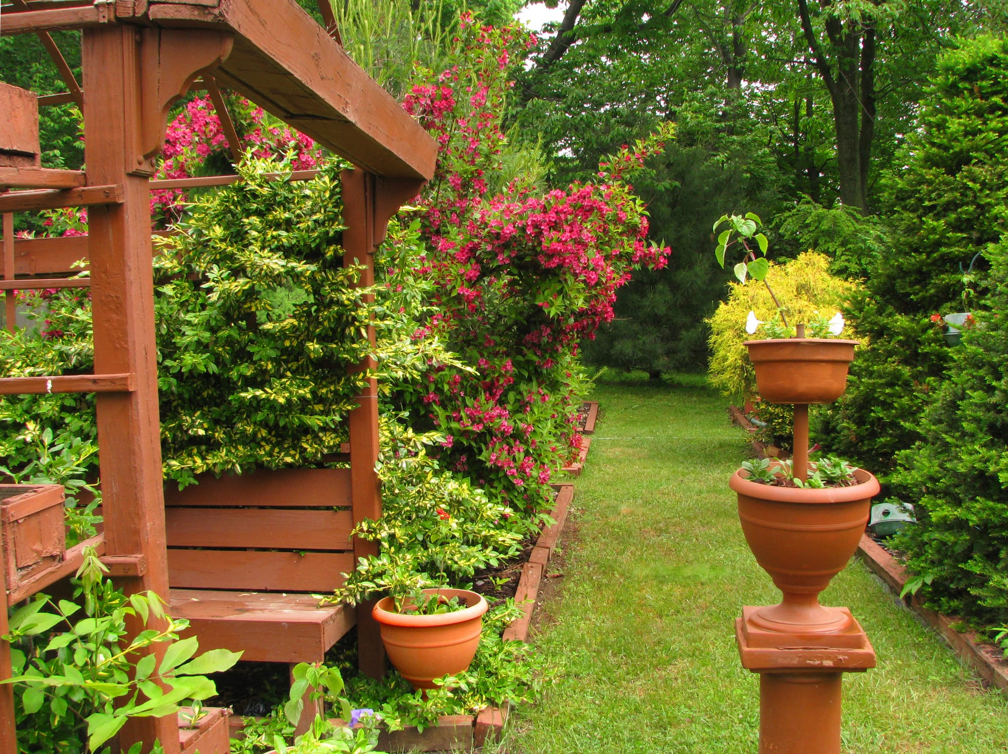 People, Animals, and Things