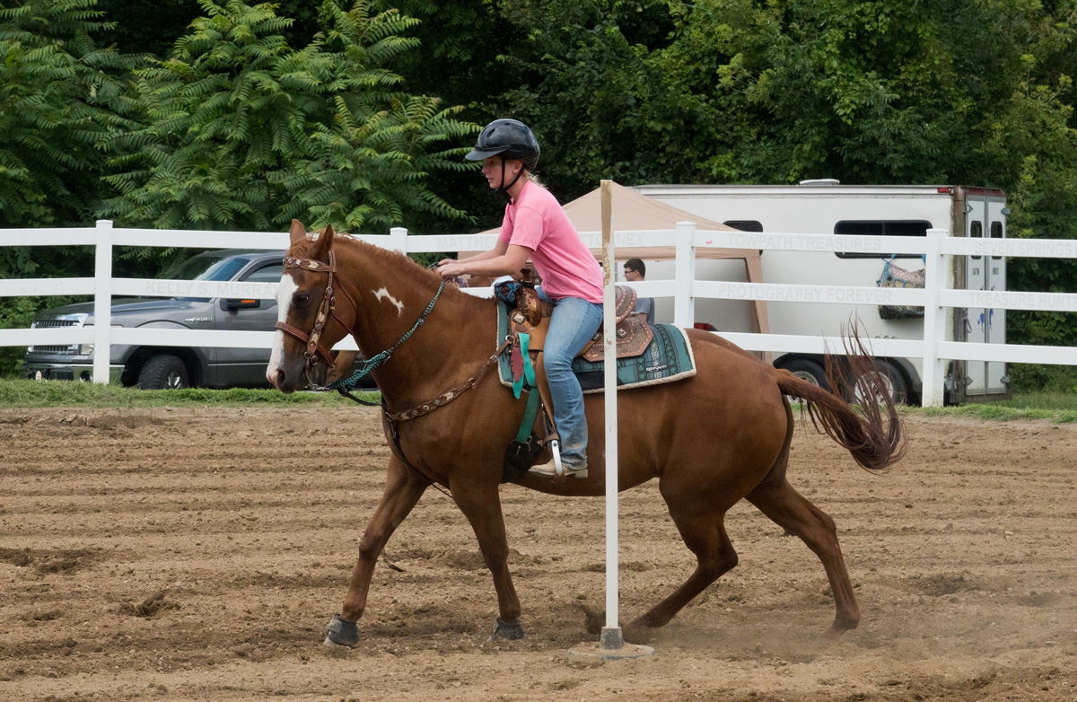 People, Animals, and Things