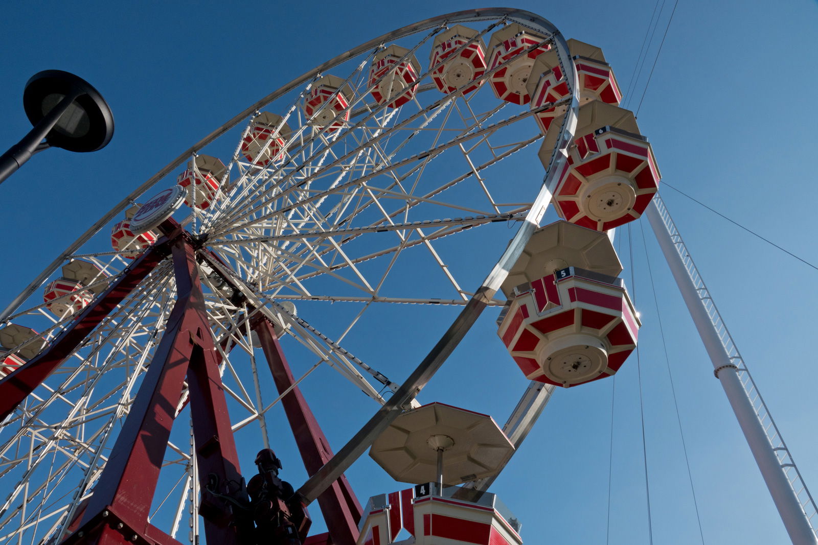 People, Animals, and Things