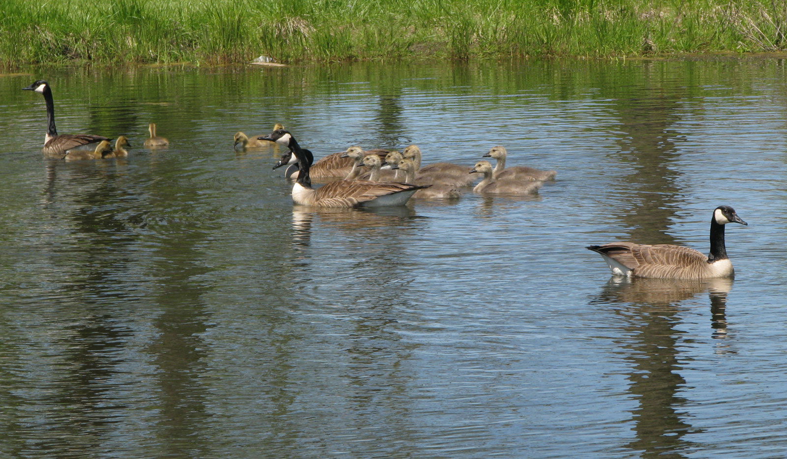 <<<<<<<<<<<<>>>>>>>>>>>>