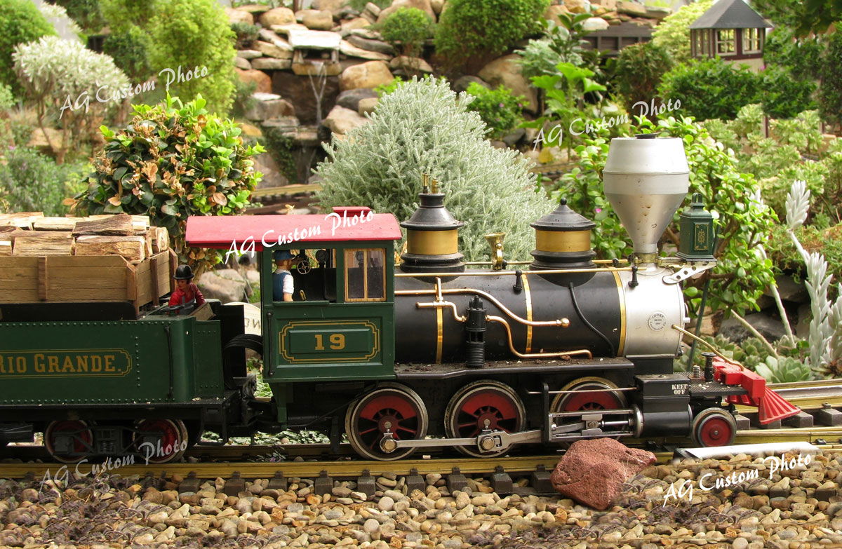 Assorted Locomotives and Cars