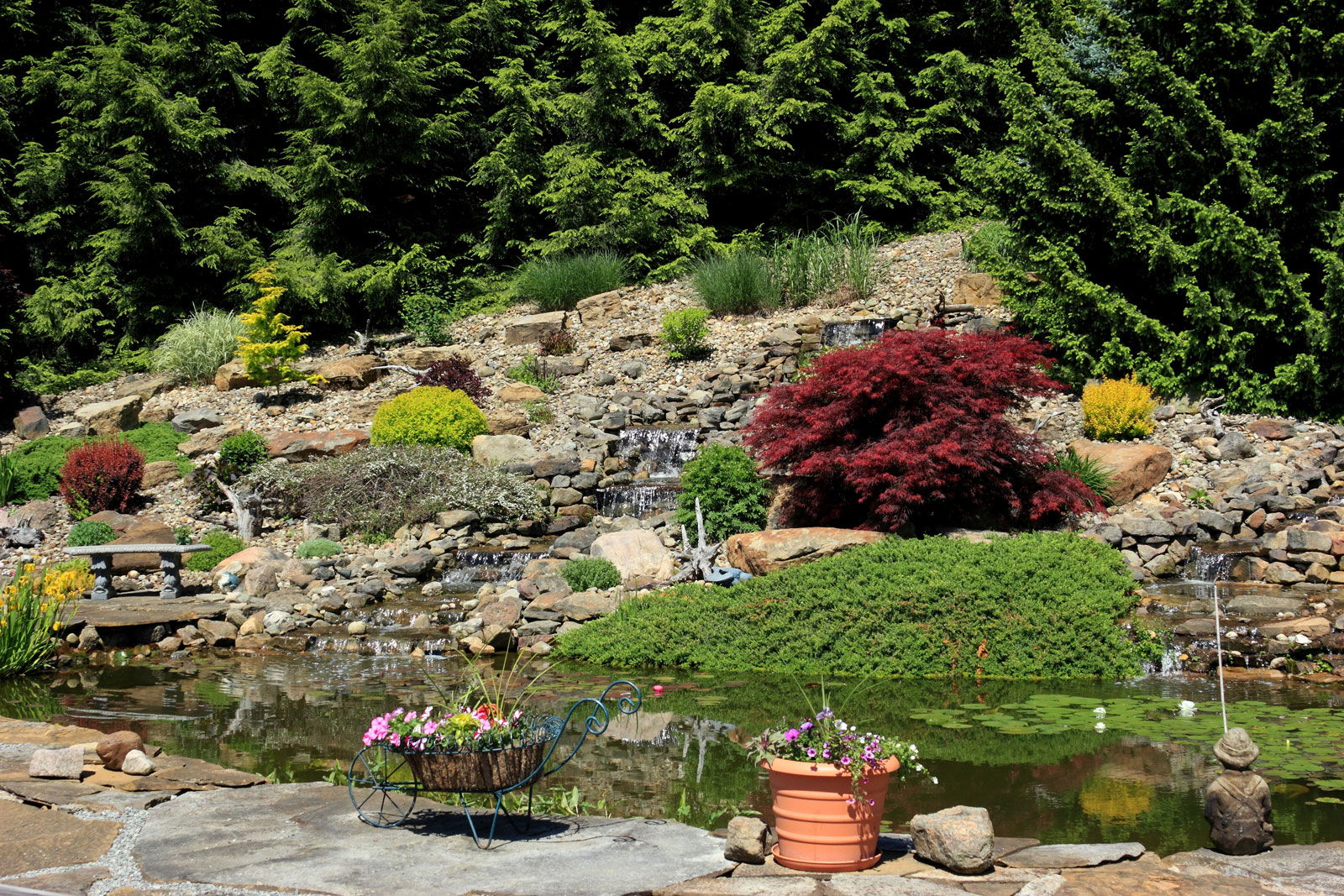 People, Animals, and Things