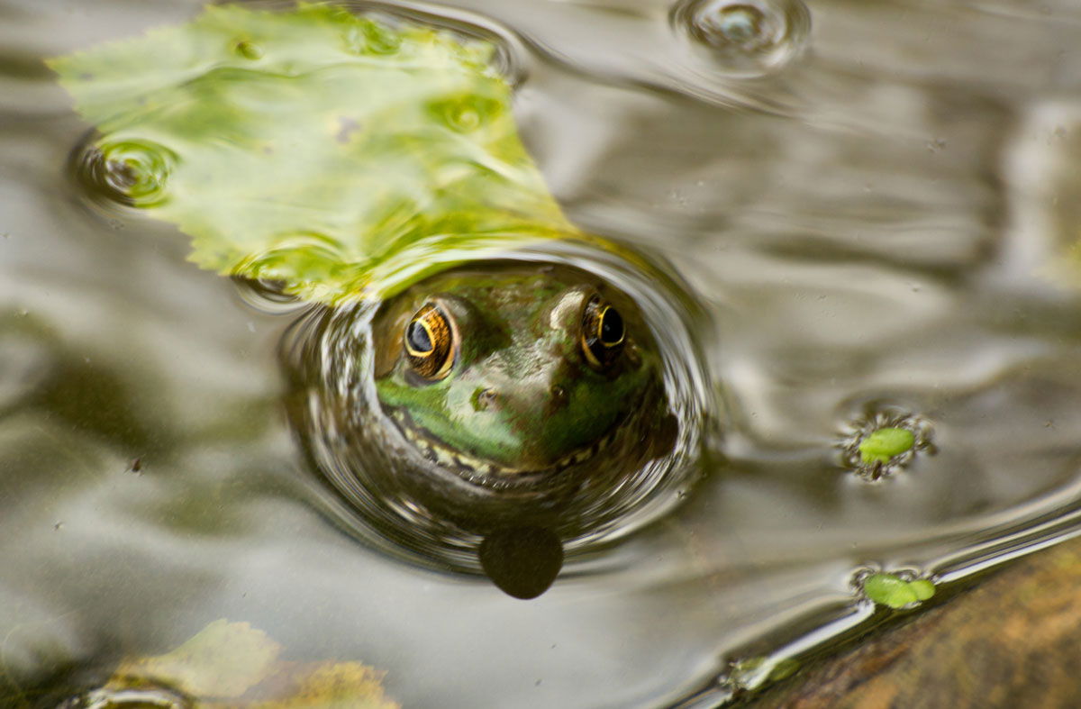 <<<<<<<<<<<<>>>>>>>>>>>>