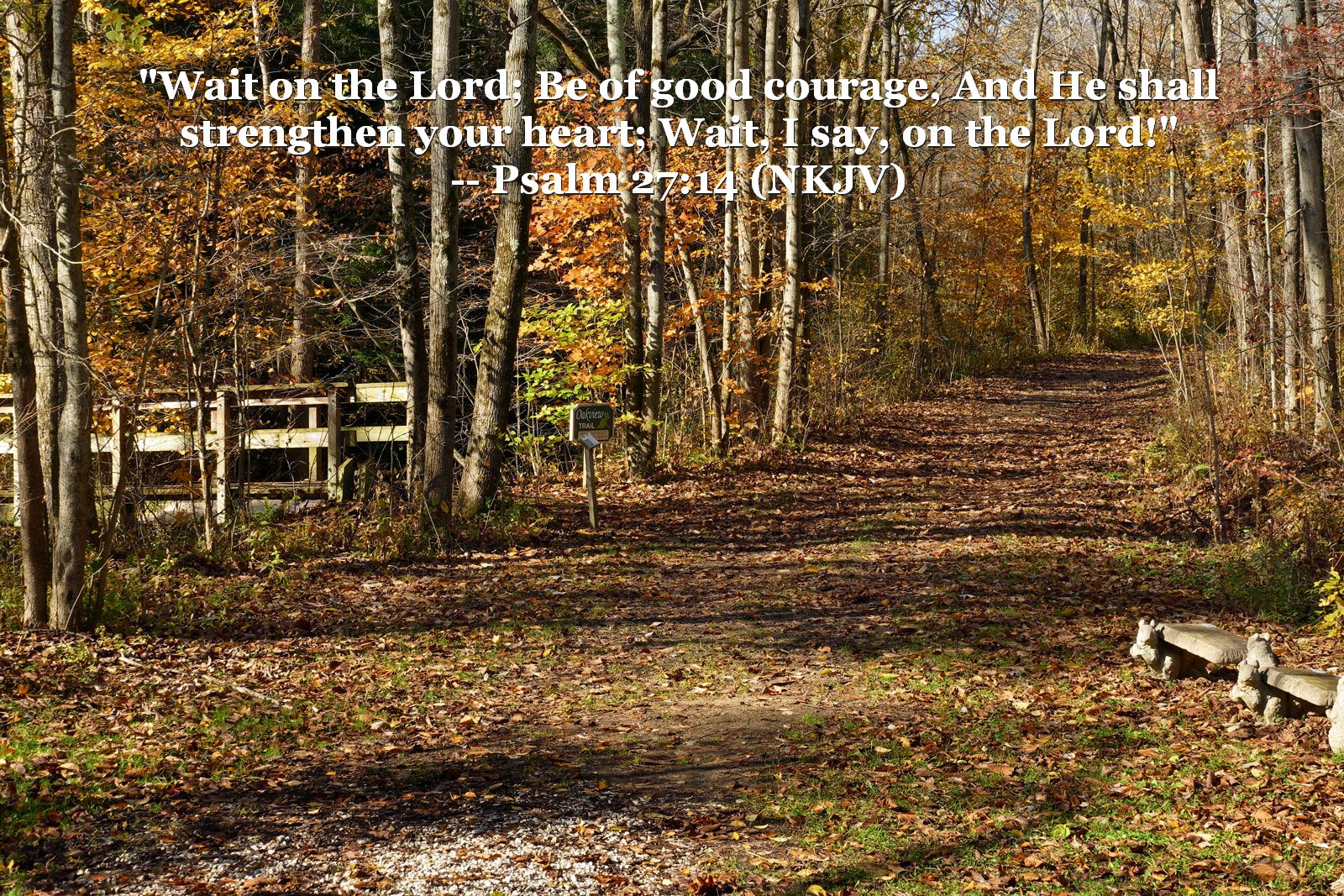 People, Animals, and Things