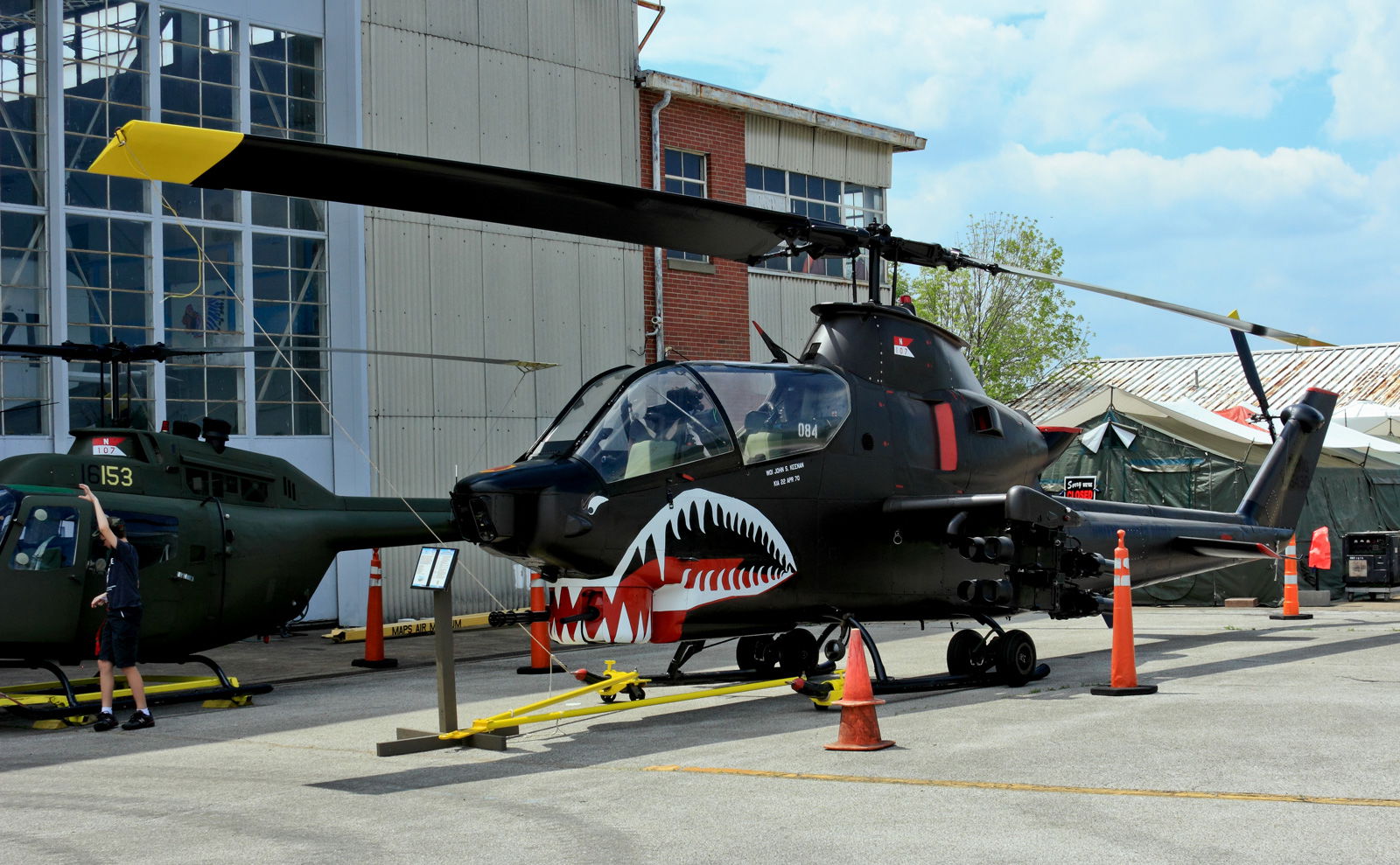 People, Animals, and Things