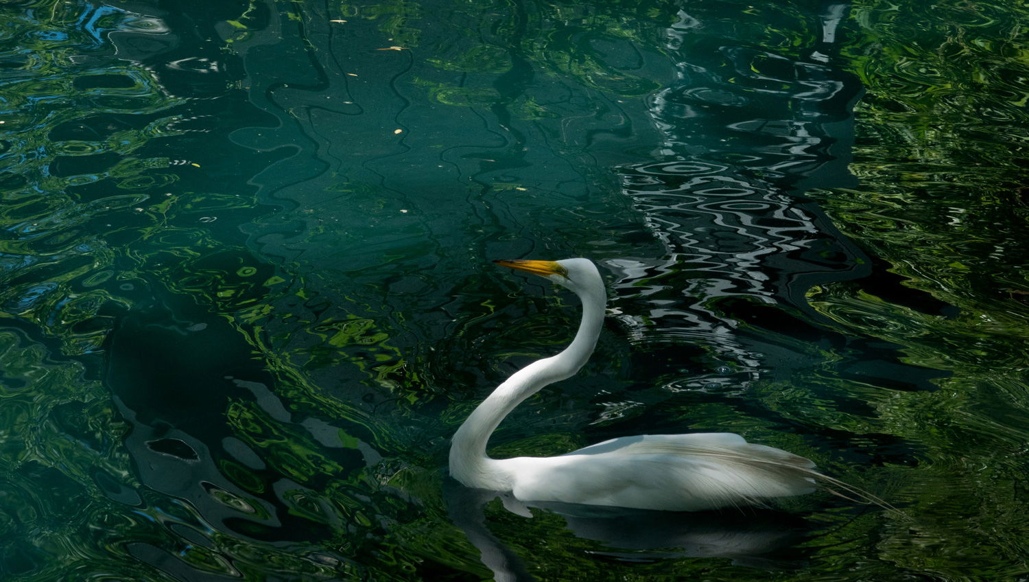 <<<<<<<<<<<<>>>>>>>>>>>>