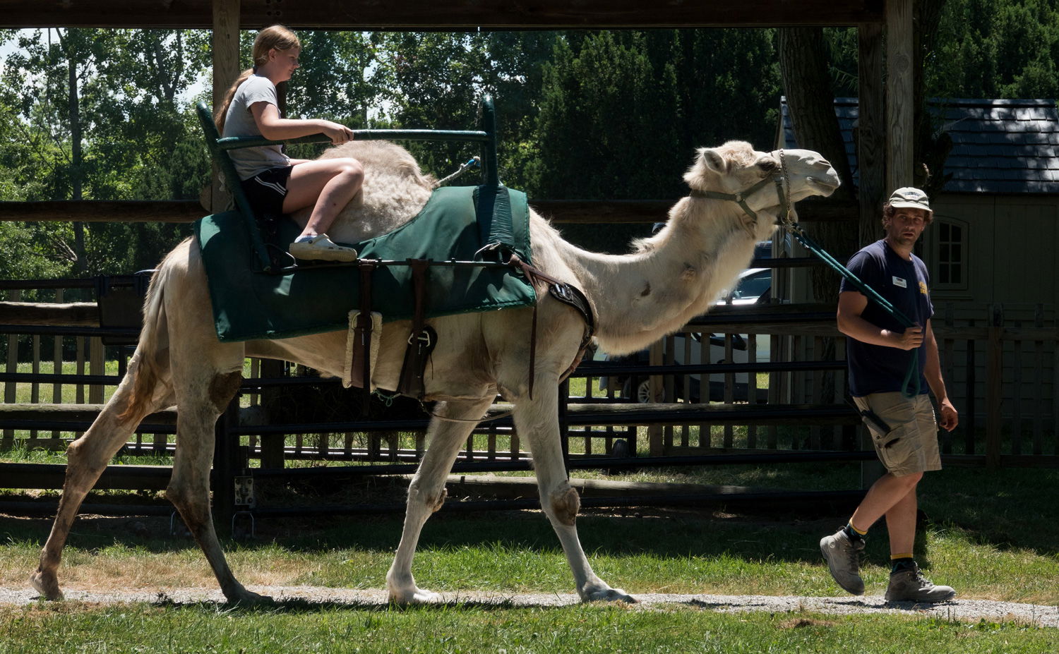 <<<<<<<<<<<<>>>>>>>>>>>>