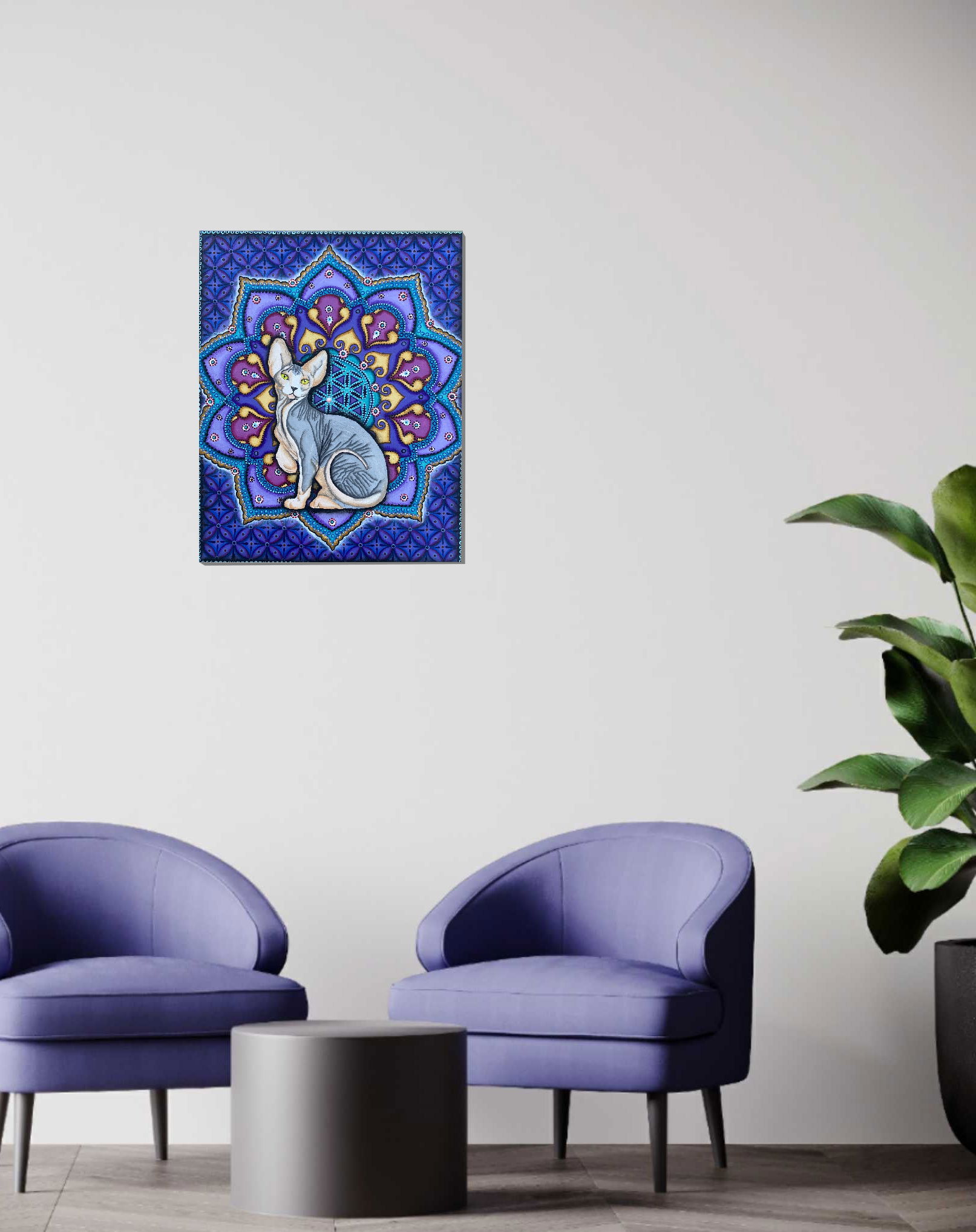 Mandala s kočkou sphynx