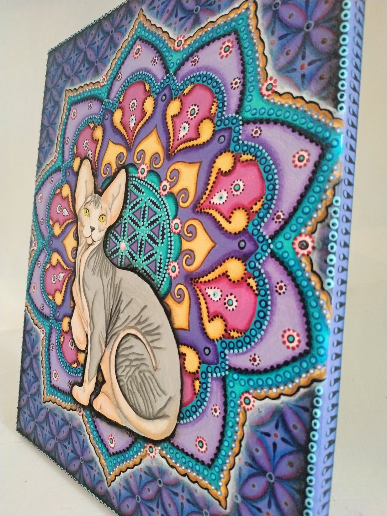 Mandala s kočkou sphynx