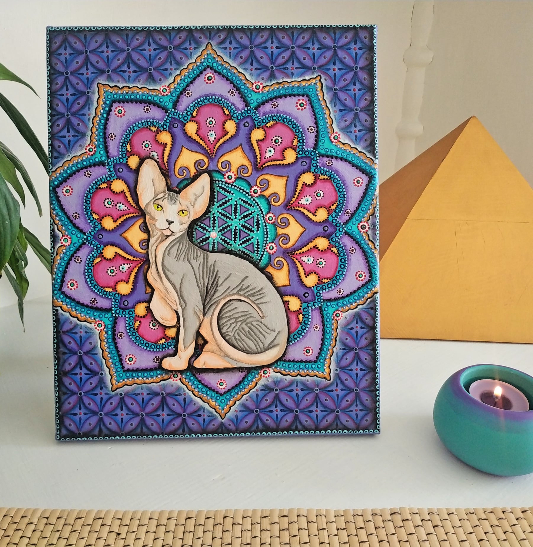Mandala s kočkou sphynx